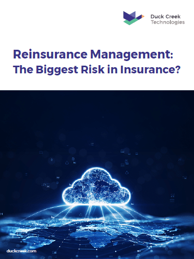 WP Reinsurance Management Screenshot