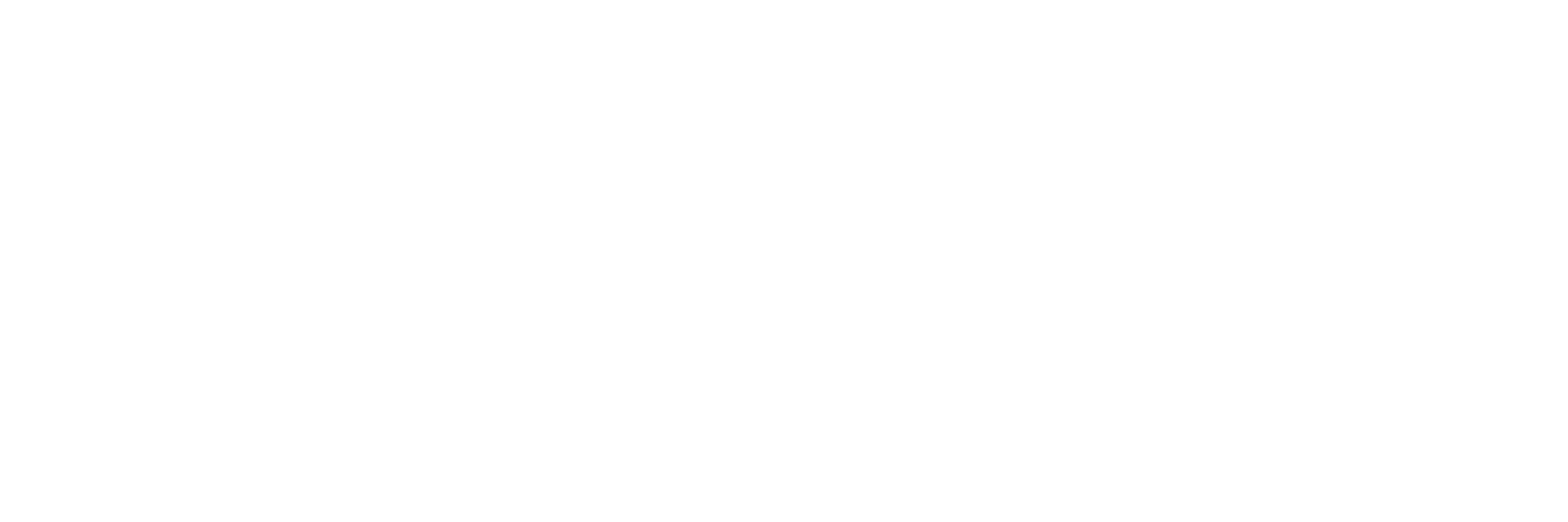 Hagerty Insurance Logo white