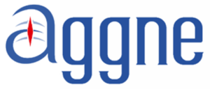 Aggne logo 1 300x128 1