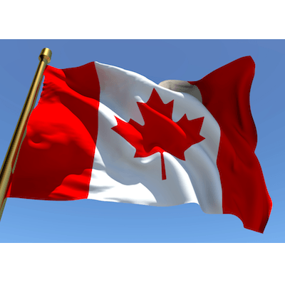 Le héros du drapeau de la Californie