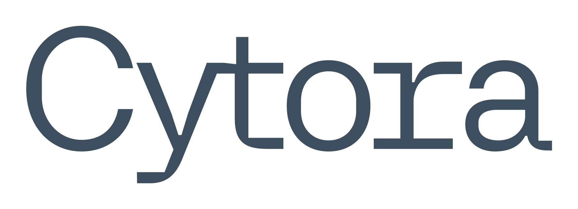 Cytora wordmark RGB brandGrey1