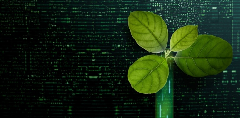 Image en vedette : Article de blog « API et écosystèmes »