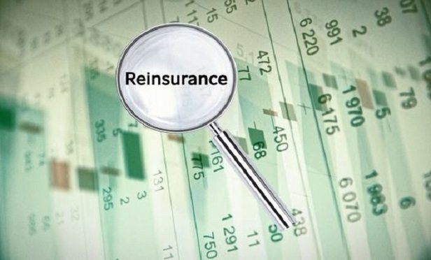 Reinsurance Falcon