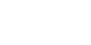 bhsi logo White