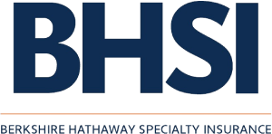 bhsi logo