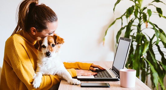 blog Assurance animaux de compagnie  insurtech image insurtech