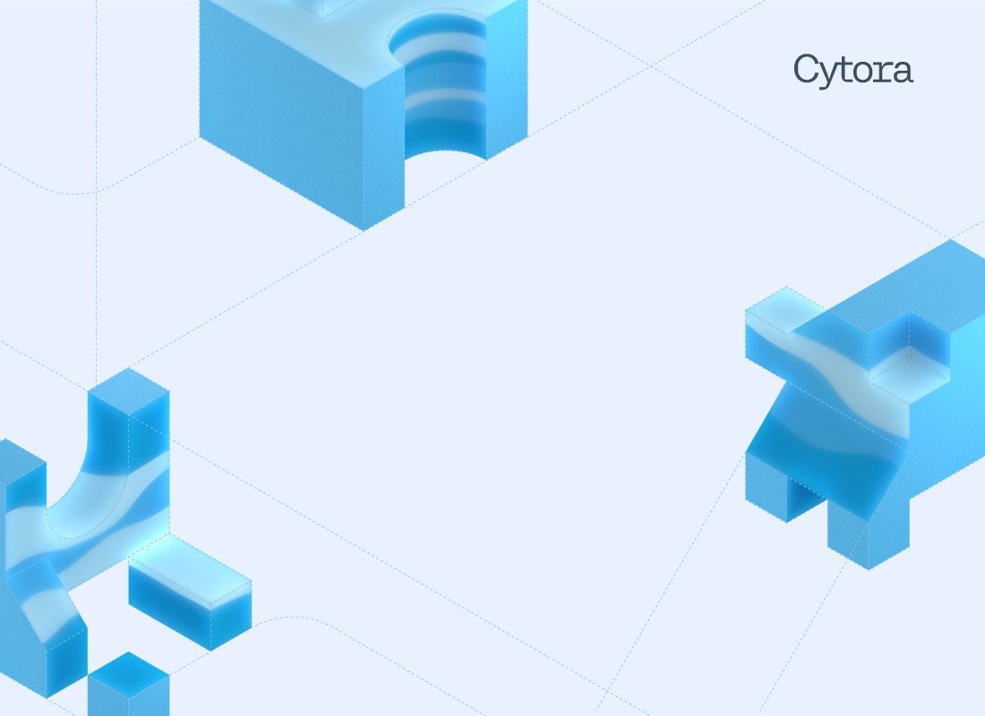 Cytora Hero