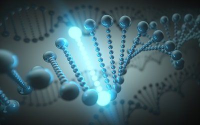 digital DNA