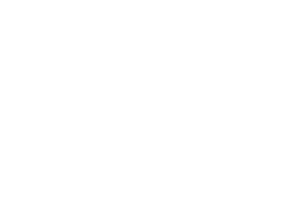 gore logo white