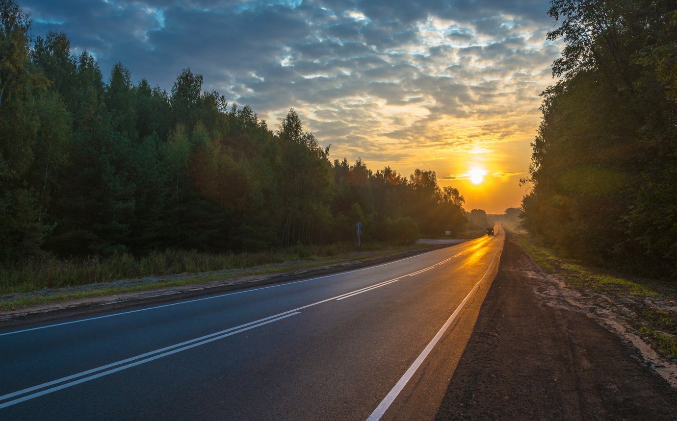 roadmap future